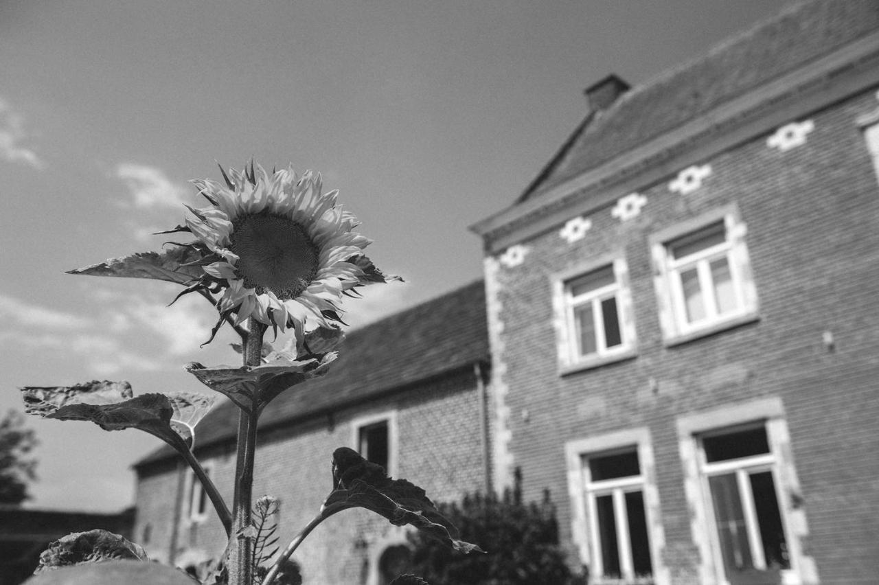 B&B L'Epicurie Hoegaarden Dış mekan fotoğraf